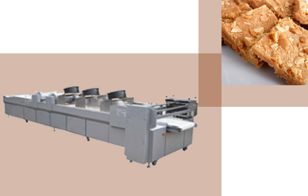 Factory Price Peanut Brittle Bar Production Line China Manufacturer 