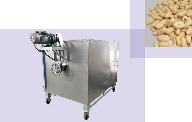 Factory Price Peanut Roaster Machine in Stainless Steel