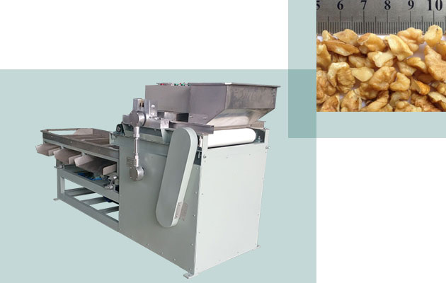 Commercial Peanut Chopper Machine in Plant