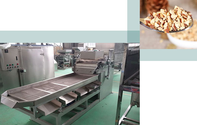 Best Quality Peanut Chopping Machine in China