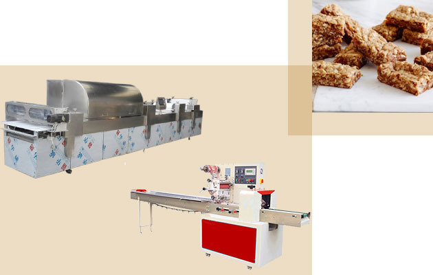 Hot Snack Energy Bars Production Line in Plant